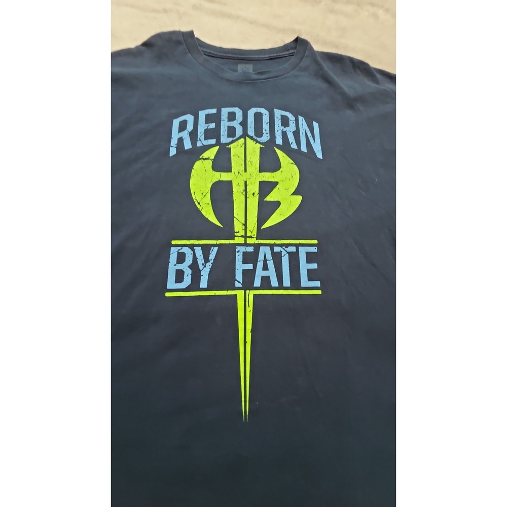 318 - HARDY BOYS 2XL